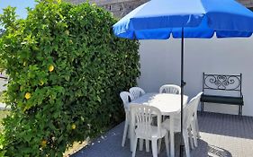 Lemon Tree House